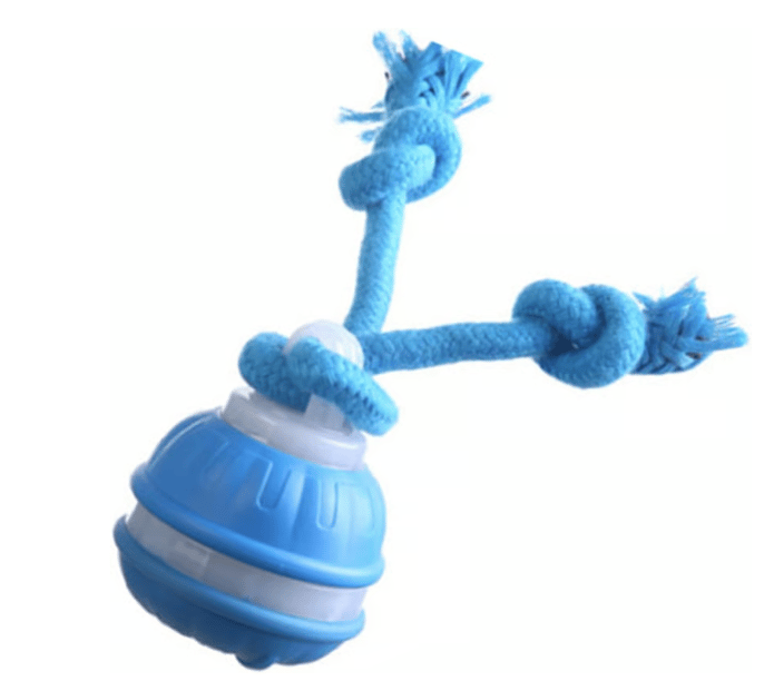 Interactive Smart Rolling Pet Ball