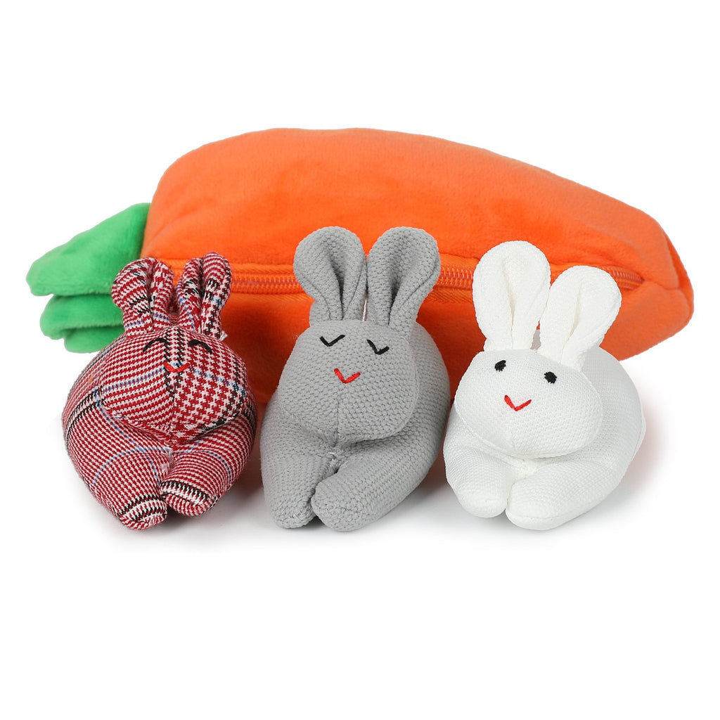 🎁 Hide-and-Seek Bunnies in Carrot Pouch